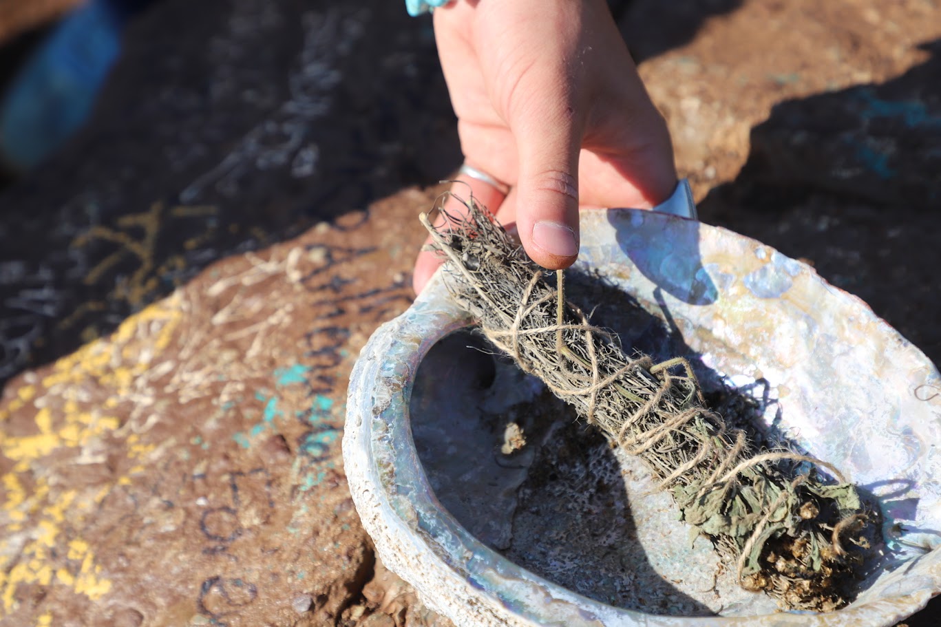 A close-up of a hand holding a natural material — a bundle of sage or dried plant — over a painted surface