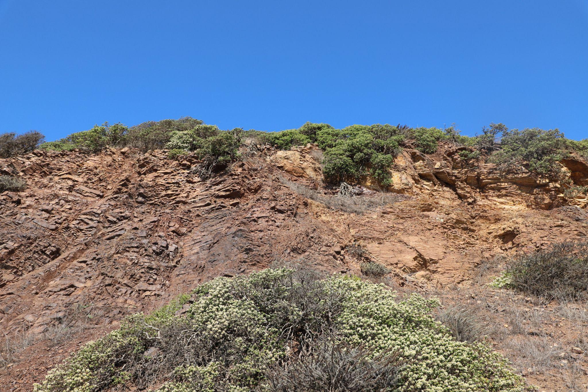 The hillside landscape of Twin Peaks — dry golden grass and coastal scrub with the bay visible in the distance